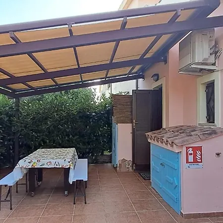 Papaya * מורתה מריה